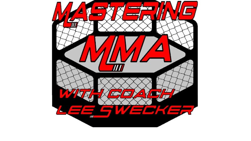 Mastering MMA a MMA Institute affiliate - Muay Thai Gym