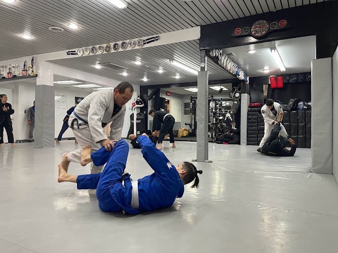 Fight Solutions HQ - Muay Thai Gym
