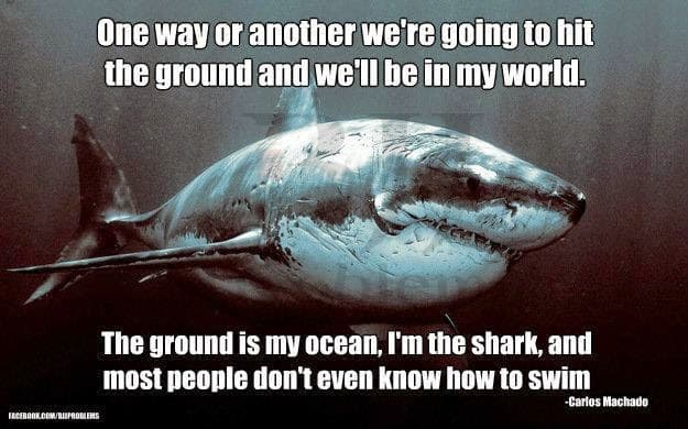 Deep Water Brazilian Jiu Jitsu - Muay Thai Gym