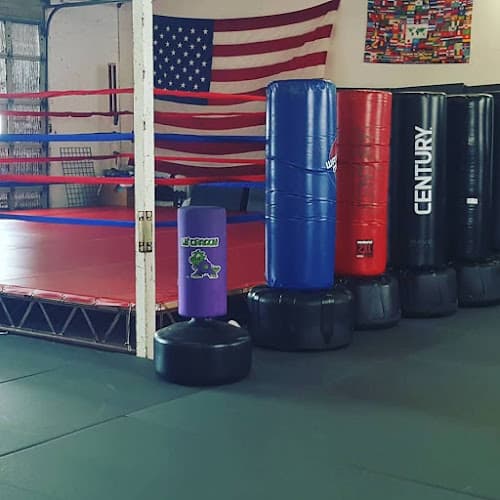 Defiance Combat Center: Krav Maga, Jeet Kune Do, Kali, Kickboxing, Muay Thai, Grappling, Self-Defense Seminars. - Muay Thai Gym