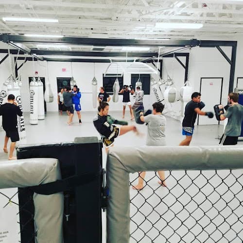 Ramona Brazilian Jiu-Jitsu & MMA center - Muay Thai Gym