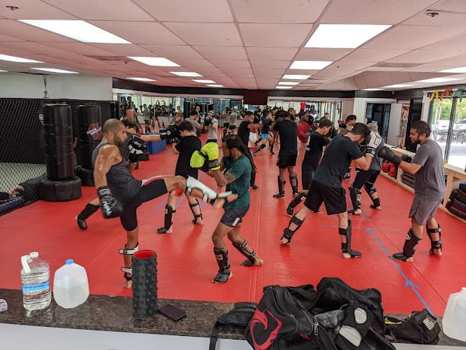 American Combat Gym - Muay Thai Gym