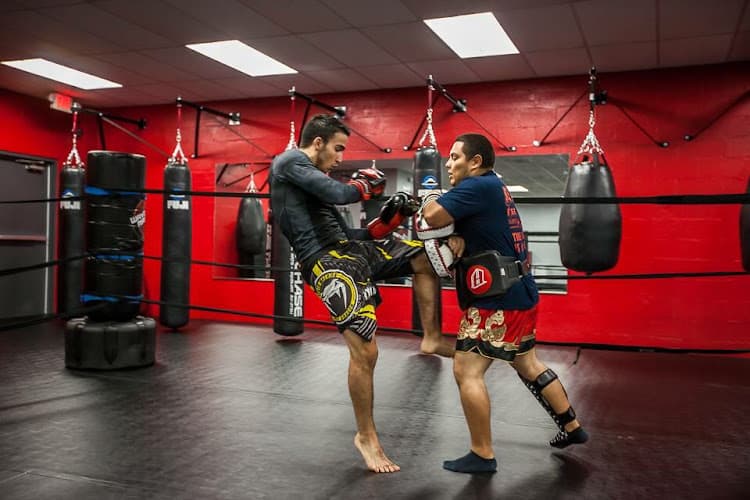 Gracie Barra Westchase Brazilian Jiu-Jitsu in Houston Tx - Muay Thai Gym