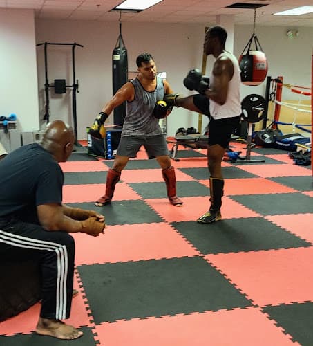 Iron Lion Muay Thai & Boxing - Muay Thai Gym