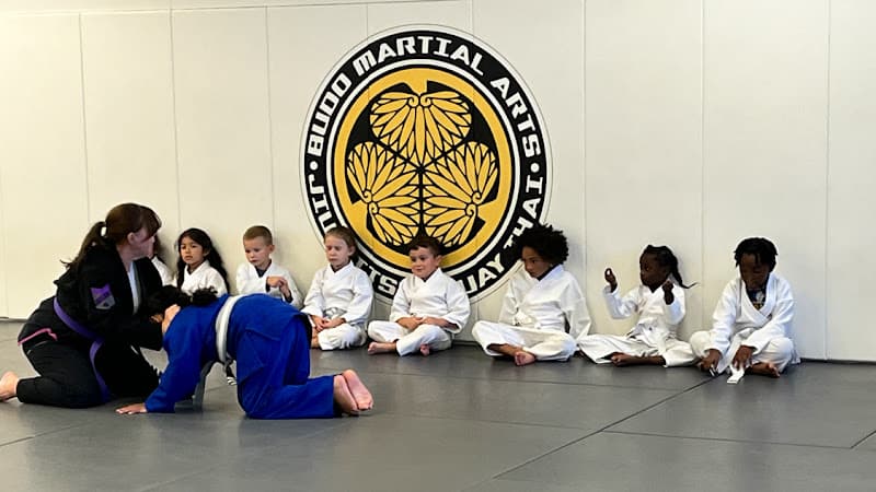 Budo Martial Arts Studio - Muay Thai Gym