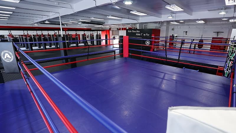 THE ARENA | The Boxing, Jiu Jitsu, MMA & Muay Thai Gym in San Diego - Muay Thai Gym