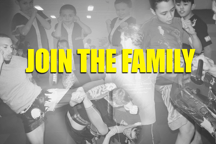 Thornton Martial Arts and Fitness - Muay Thai Gym