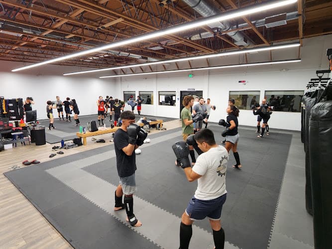 Vital Force Muay Thai & MMA - Muay Thai Gym
