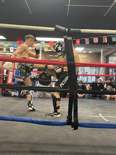 Pedigo Submission Fighting Bloomington - Muay Thai Gym