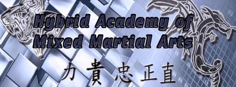 Hybrid Academy of Mixed Martial Arts - Muay Thai Gym