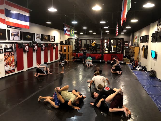 Dominion MMA®, Brazilian Jiu Jitsu & San Antonio MMA Training Gym. - Muay Thai Gym
