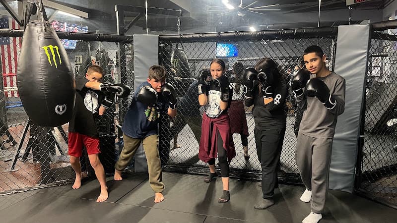 IB MMA Mixed Martial Arts - Muay Thai Gym