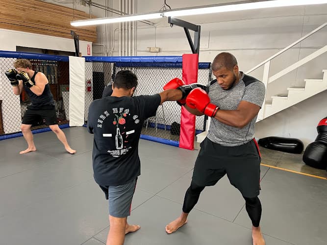 Ludusport Academy & Gym - Muay Thai Gym
