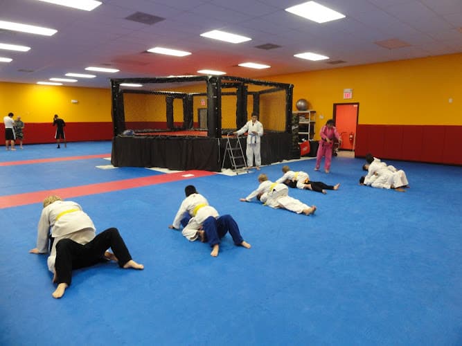 Dauntless Brazilian Jiu-Jitsu - Muay Thai Gym