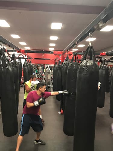 Webb Fitness and MMA - Muay Thai Gym