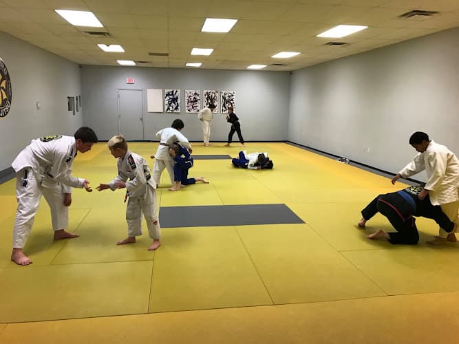 URSA Academy - Ribeiro Jiu-Jitsu Ann Arbor - Muay Thai Gym