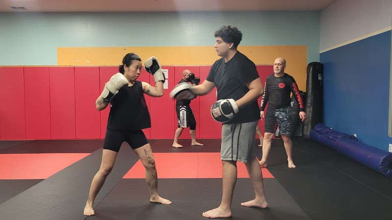 FreeFall MMA - Muay Thai Gym